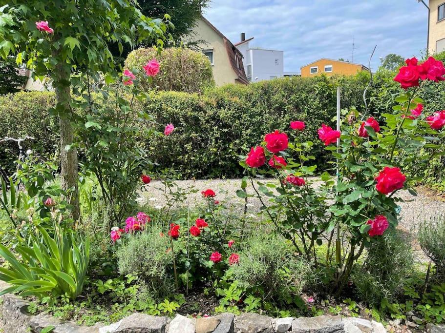 Fewo Apartment Lake Of Constance Friedrichshafen Ngoại thất bức ảnh